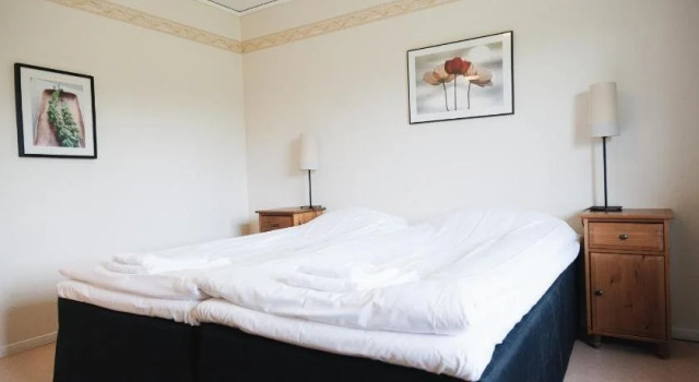 Wisingsö, Rezerwuj Hotel Visingsö 