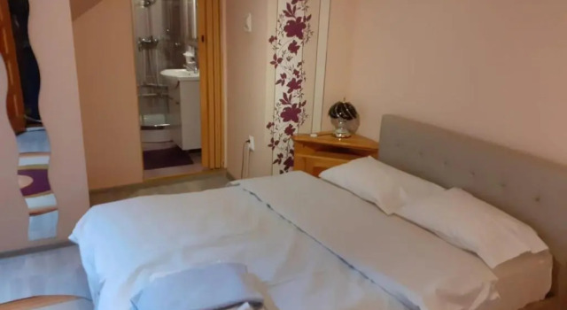 Коттедж с красивым видом из окна Vila Daiana- Acceptam vouchere vacanta