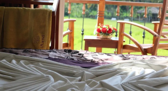 Номер Standard Manel Guest House