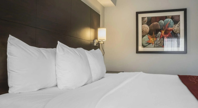 Номер Standard Quality Inn