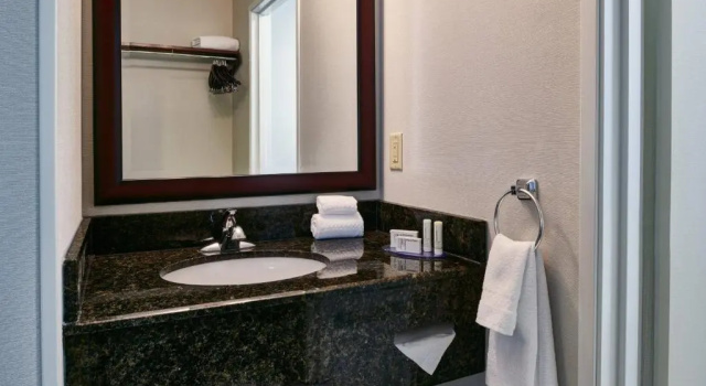 Номер Standard Fairfield Inn & Suites by Marriott Detroit Livonia
