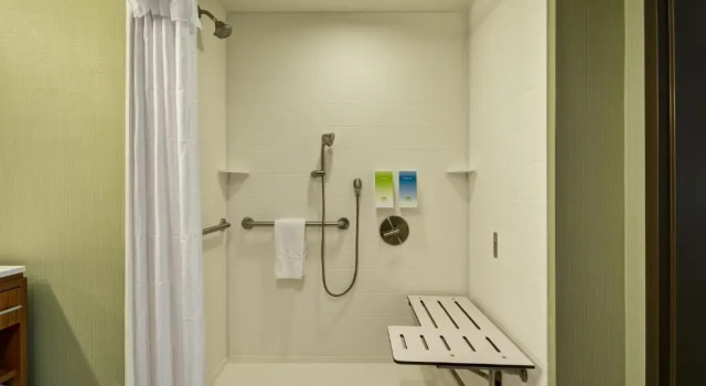 Четырёхместный люкс Home2 Suites By Hilton St. Simons Island