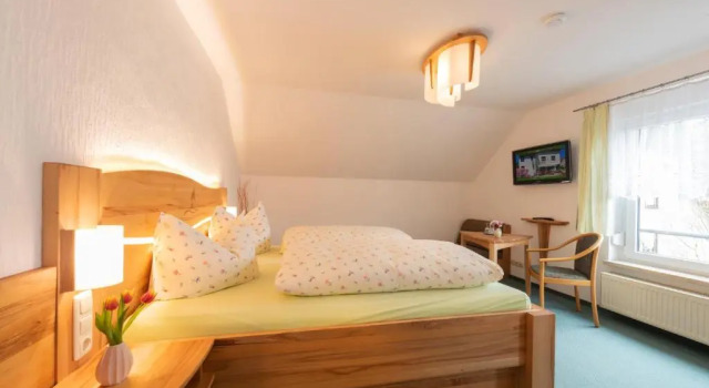 Двухместный номер Standard Rennsteighotel Grüner Baum