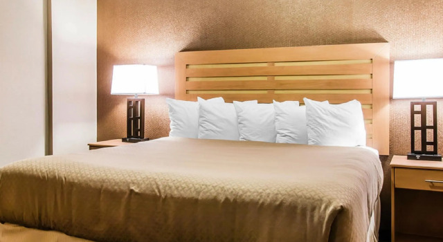 Номер Standard Quality Inn & Suites Warren - Detroit
