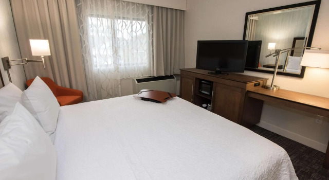 Двухместный номер Standard Hampton Inn Albany-Western Ave/University Area