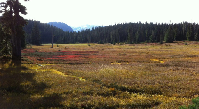 Inglenook, Buchen Sie Hotel Strathcona Provincial Park Kanada