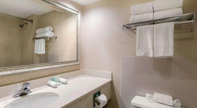Номер Standard Quality Inn Edison-New Brunswick