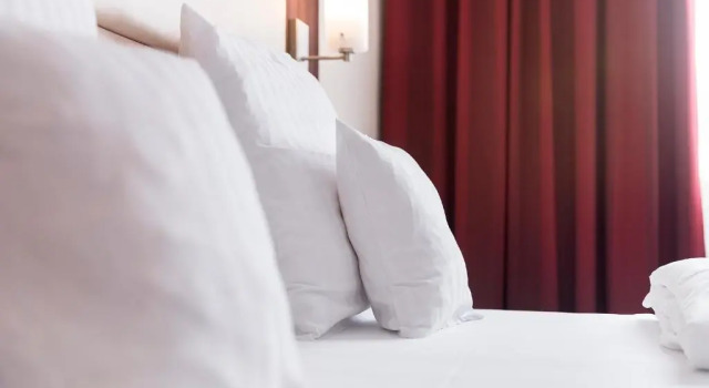 Двухместный номер Comfort Adler Hotel & Restaurant Groß-Gerau