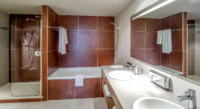 Номер Standard Pullman Bordeaux Lac