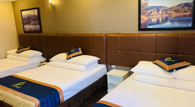 Номер Standard Pinus Hotel