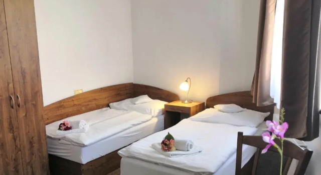 Двухместный номер Economy Hotel U Brány