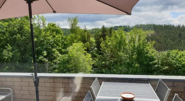 Апартаменты TERRASSES DE MALMEDY - Duplex 433 "HAPPINESS" -With Pellet & Airco-
