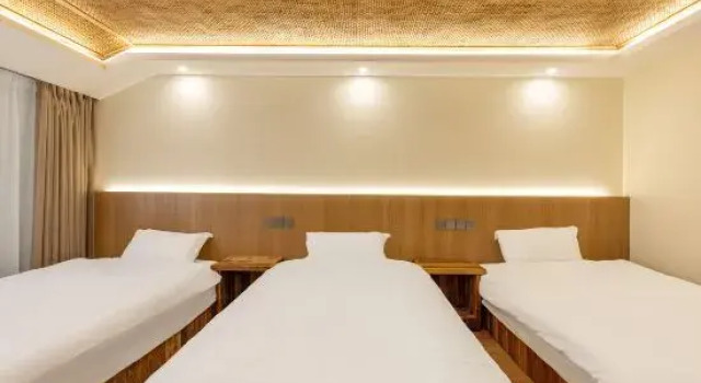 Люкс Zhenxin Farm (Hangzhou Lin'an Tianmushan Branch)