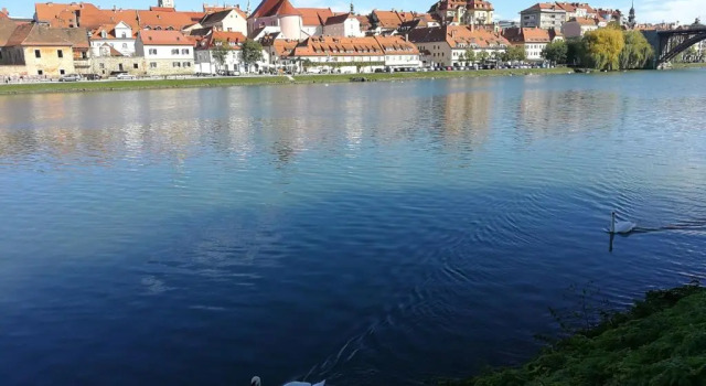 Номер Standard CITYMAP HOTEL APARTMENTS Maribor-Free parking