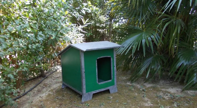 Коттедж Alessandria Residence