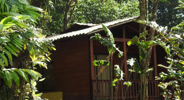 Номер Standard Hotel y Puentes Colgantes Heliconias Rainforest Lodge