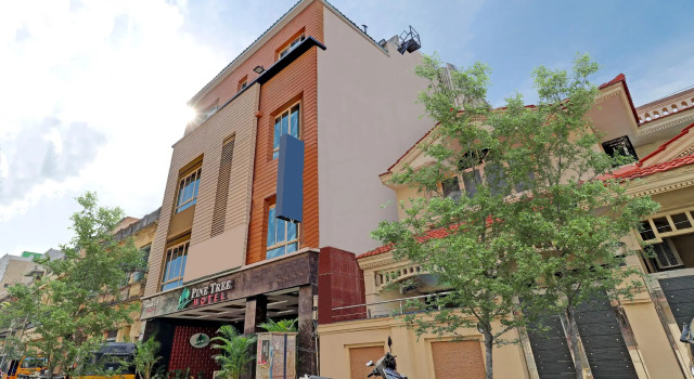Hotel Pine Tree