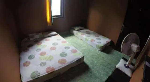 Rabbit And Carrot House