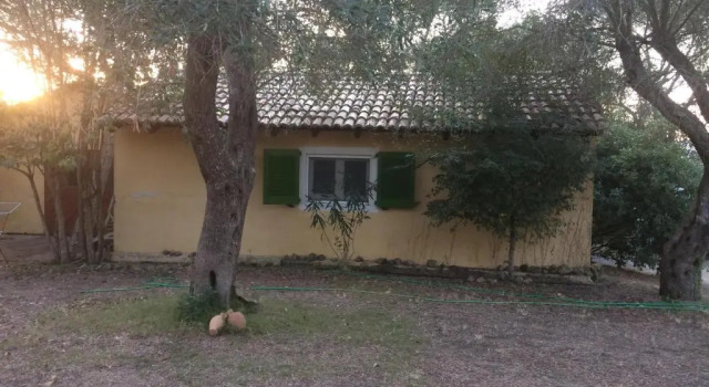 Коттедж House in the Olive Garden