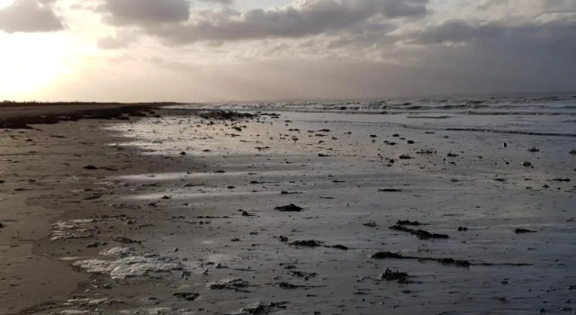 Коттедж с 2 комнатами Cosy Er Lann Gîte Séquoïa