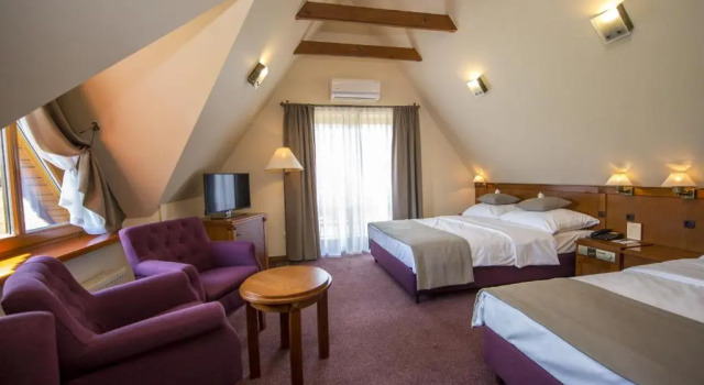 Номер Superior Hotel REDYK Ski&Relax - góry na wyciągnięcie ręki
