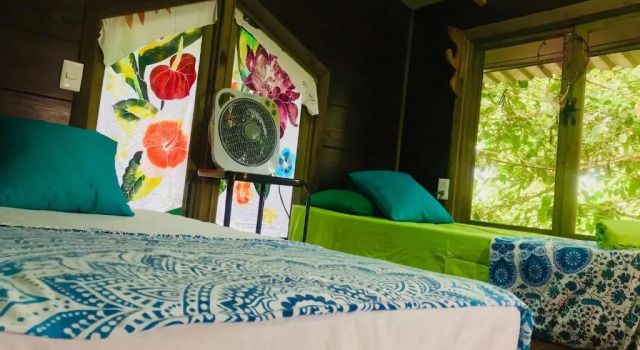 Студия с видом на сад Guest House Pura Vida