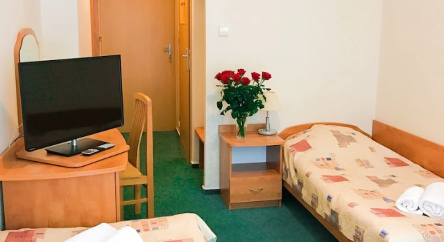 Одноместный номер Standard с балконом Albatros Medical SPA