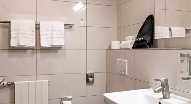 Номер Standard Hotel Sursee