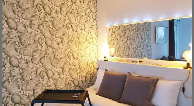 Cosy Case between Disney and Paris