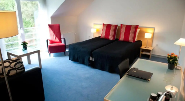 Двухместный номер Standard Vejlsøhus Hotel and Conference Center