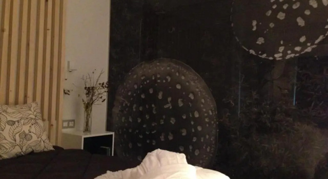 Номер Deluxe Hotel Terra Bonansa