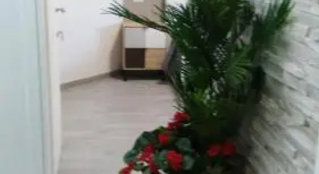 La Suite