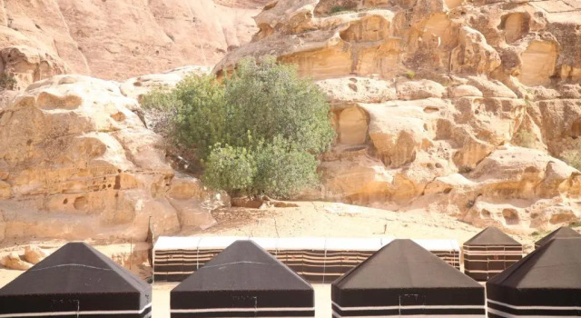 Номер Standard Ammarin Bedouin Camp