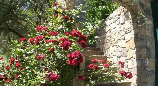 Villa Gioia