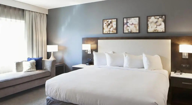 Номер Standard Hilton Garden Inn Minneapolis - University Area