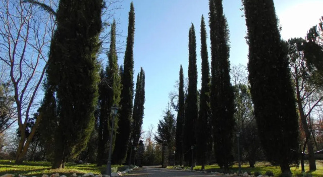 Апартаменты Il Podere San Giuseppe