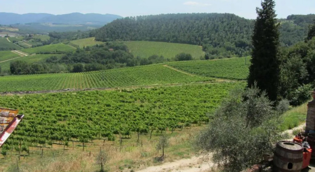 Апартаменты с 3 комнатами Luiano Winery Houses in Chianti