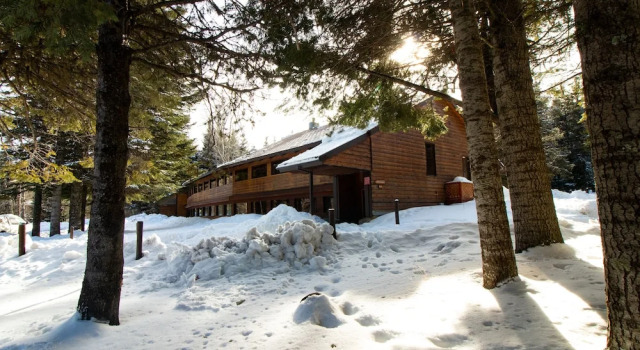 Четырёхместный номер Standard Cooper Spur Mountain Resort
