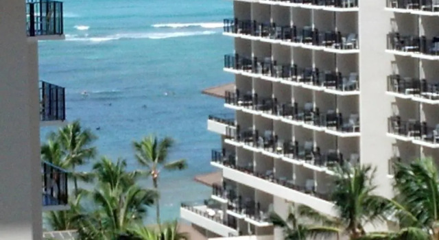 Студия Waikiki Beach Apartments #1409