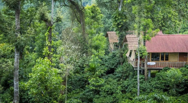 The Coffee County Resorts, Забронировать Отель Велламундра штат Керала