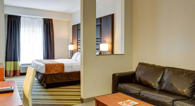 Люкс c 1 комнатой Comfort Suites Denham Springs