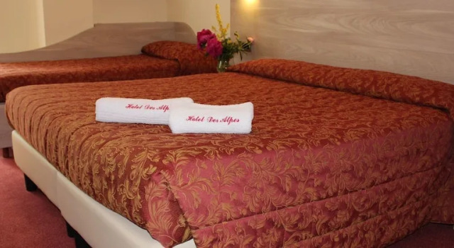 Четырёхместный номер Standard с балконом и с видом на горы Hotel Des Alpes