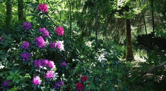 Коттедж Domaine De Chantemerles