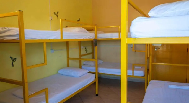 Кровать в общем номере (женский номер) Green Haven Hostel
