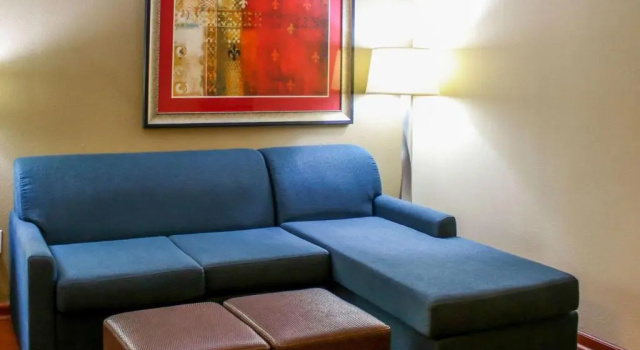 Двухместный номер Standard Comfort Suites At Virginia Center Commons