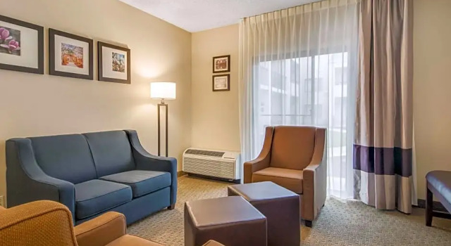 Двухместный люкс Comfort Inn Roswell-Dunwoody