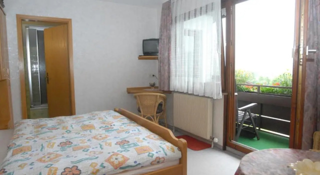 Двухместный номер Standard Haus Bergwiese