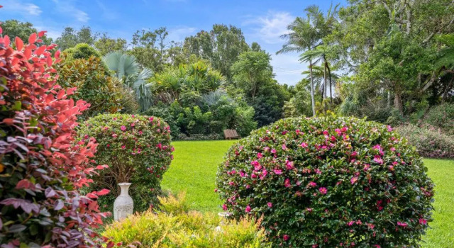 Mill Hill Cottage, Book Feriehus Montville Sunshine Coast