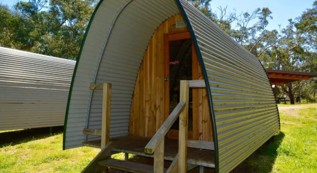Camping Pod Bimbi Park - Camping Under Koalas