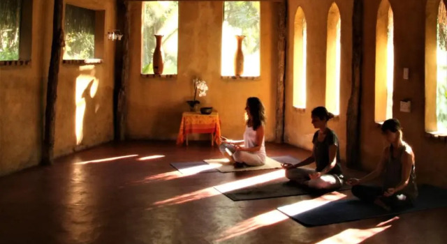 Номер Economy Turtle Cove Lodge and Yoga Shala